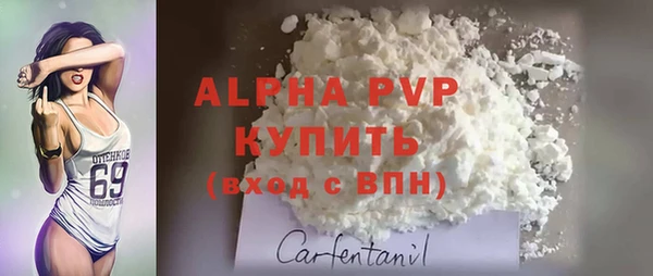 тгк Алексин