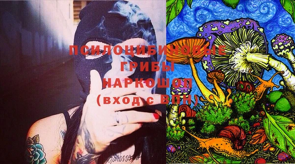тгк Алексин