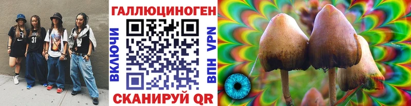 купить наркоту  Алексеевка  Псилоцибиновые грибы Cubensis 